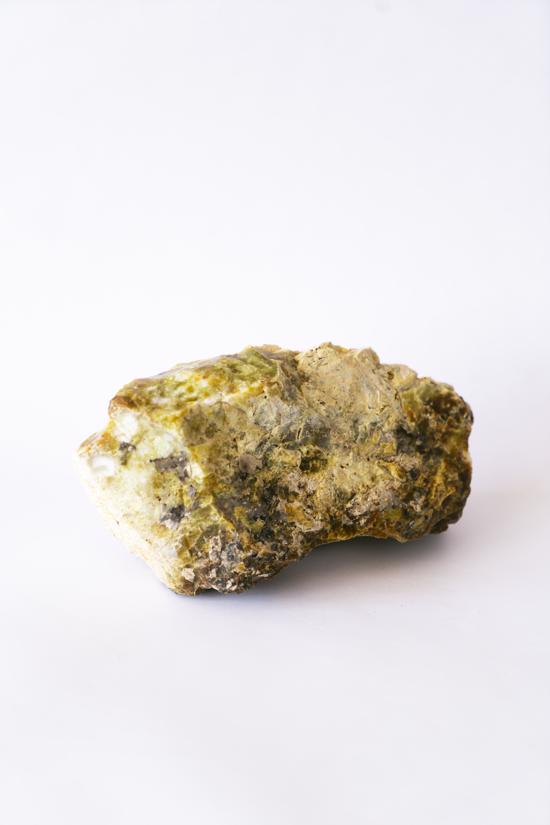 Men genel Taşlaşmış Ağaç No2