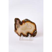 Erkek genel Akik Plaka