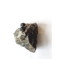 Erkek genel Lal Taşı  No2