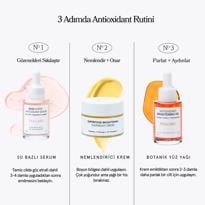 Erkek genel Super Antioxidant Essential Routine Set