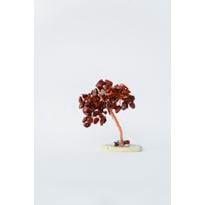 Erkek genel Kırmızı Akik Hayat Ağacı Model 1