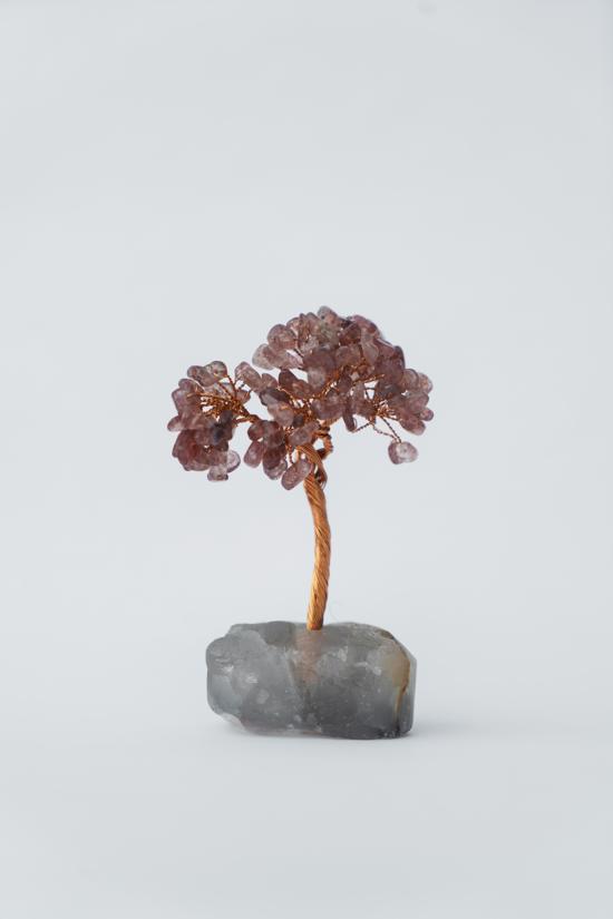 Erkek genel Florit Hayat Ağacı- Ametist