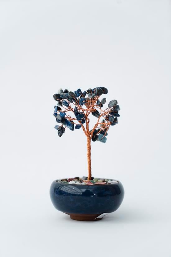 Erkek genel Lapis Hayat Ağacı- Mavi Saksılı