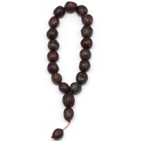 Erkek genel Andız Tesbih Kısa Koyu Kahverengi