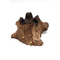 Erkek genel Sarkaç Pandül Prinç