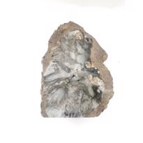 genel Fosil Ağaç Akik- 1865gr 