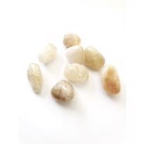 Erkek genel Sitrin Taş Tamburlanmış