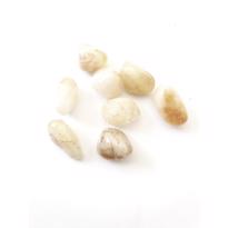 Erkek genel Sitrin Taş Tamburlanmış