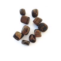 Erkek genel Kaplan Gözü Taş Tamburlanmış