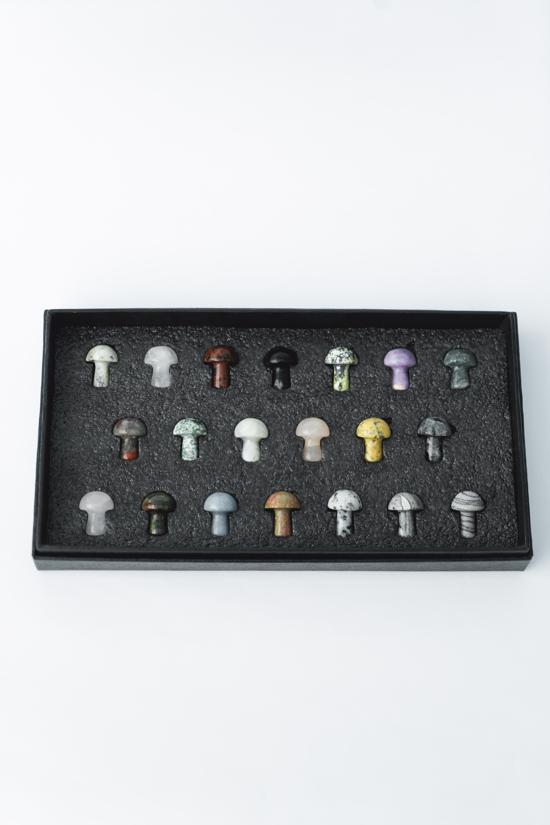 Erkek genel Küçük Mantar Kesim Taş Set 20li