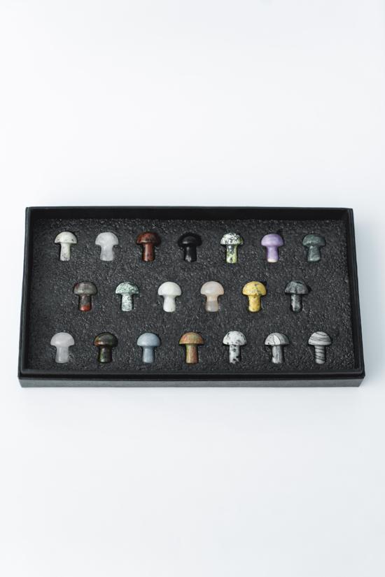 Erkek genel Küçük Mantar Kesim Taş Set 20li