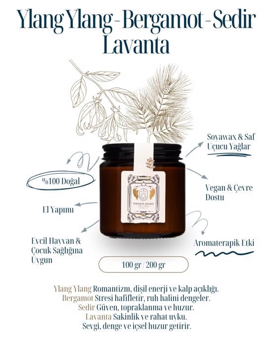 Erkek genel Ylang Ylang Bergamot Sedir Amber Cam Soyalı Mum