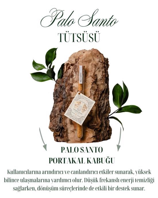 Erkek genel Palo Santo Tütsü