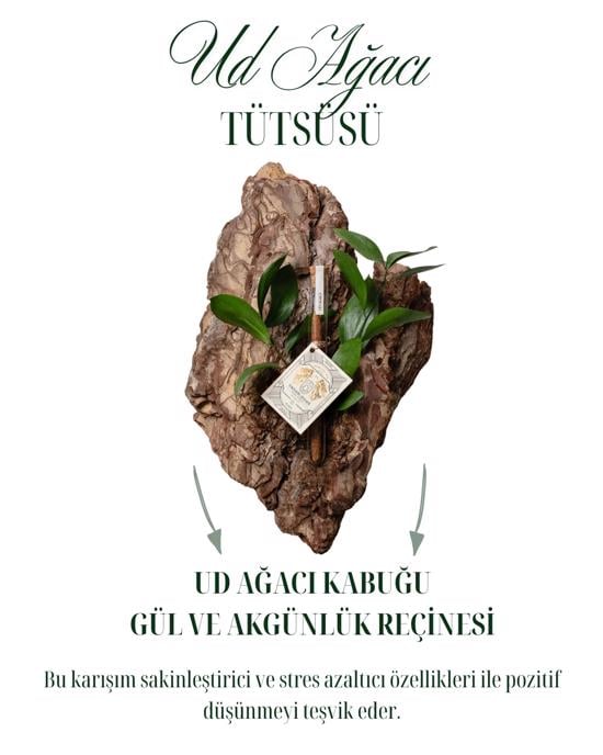 Erkek genel Ud Ağacı Tütsü