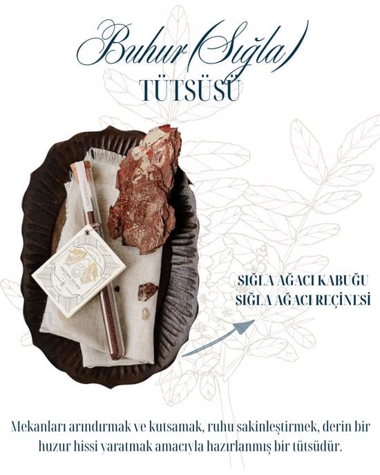 Erkek genel Buhur ( Sığla) Tütsü