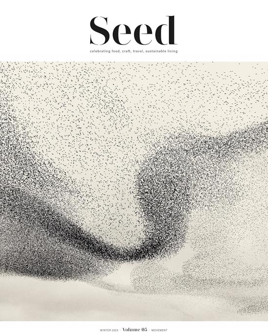 Erkek genel Seed Voume 5