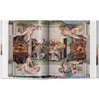 Erkek genel Michelangelo. The Complete Paintings, Sculptures a