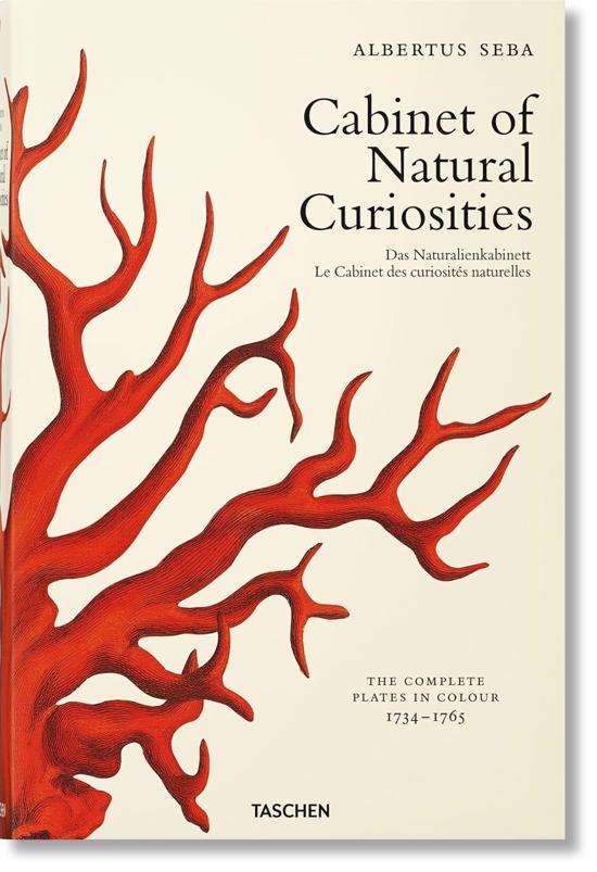Erkek genel Seba. Cabinet of Natural Curiosities
