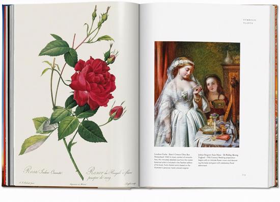 Men genel Plant Magick. The Library of Esoterica