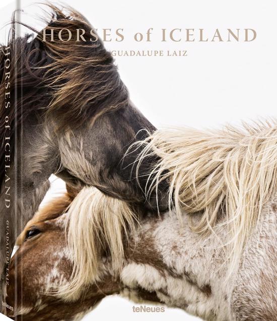 Men genel Horses of Iceland