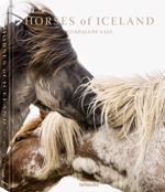 Men genel Horses of Iceland