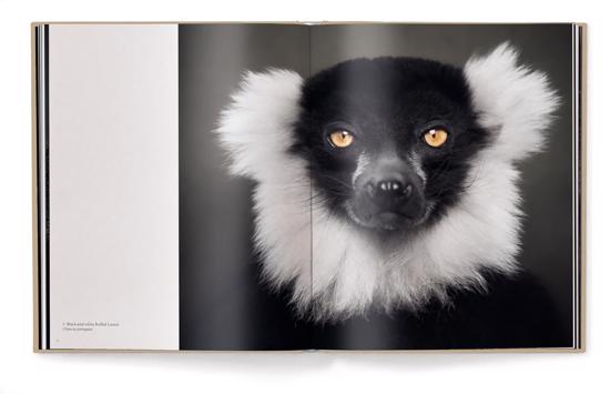 Men genel Between Us: Animal Portraits