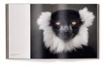 Men genel Between Us: Animal Portraits