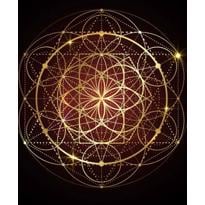 genel Kutsal Geometri - Tuna Kamhi 22 Ocak 2026