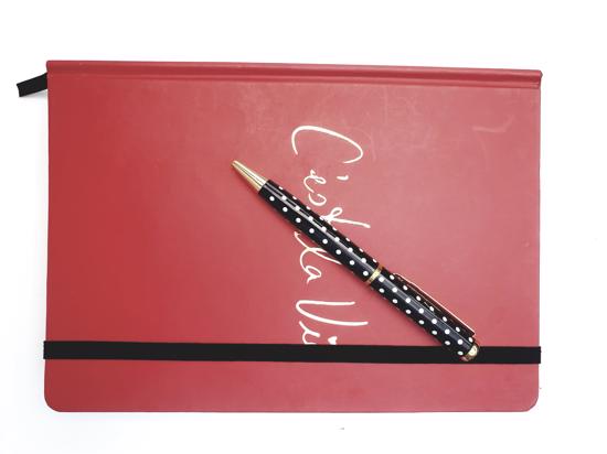 Men genel C'est La Vie Defter Kalemli- Kırmızı