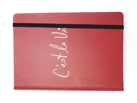 Men genel C'est La Vie Defter Kalemli- Kırmızı