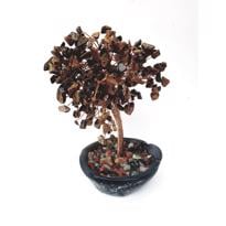 genel Kaplangözü Hayat Ağacı Tel Bakır Sarma Saksılı-2