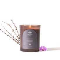  Tengri Doğal Soya ve Hindistan Cevizi Mum-Hava