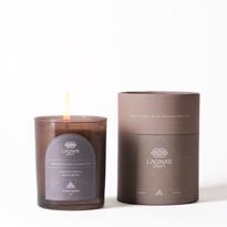 Men genel Tengri Doğal Soya ve Hindistan Cevizi Mum-Hava