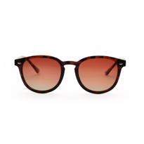  Langdon Bold Choclate Brown Derade Unisex Güneş Gö