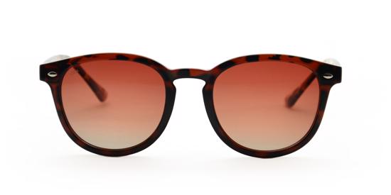 Men genel Langdon Bold Choclate Brown Derade Unisex Güneş Gö