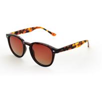 Men genel Langdon Bold Choclate Brown Derade Unisex Güneş Gö