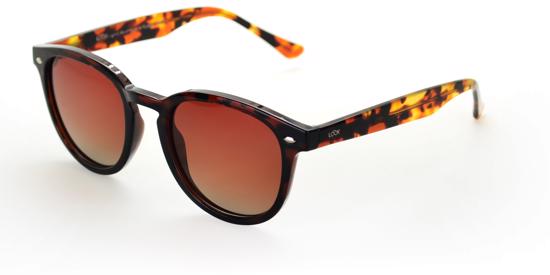 Men genel Langdon Bold Choclate Brown Derade Unisex Güneş Gö